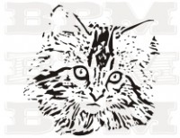 /album/fotogaleria-mackovite/mackovite-17-jpg/